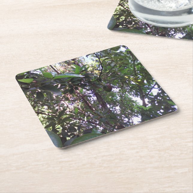 Avocado Tree Square Paper Coaster (Angled)