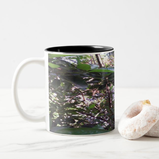Avocado Tree Two-Tone Coffee Mug (With Donut)