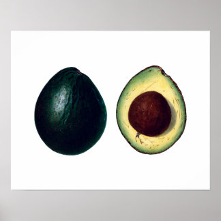 AVOCADOS botanical print