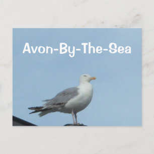 Avon-By-The-Sea Postcard