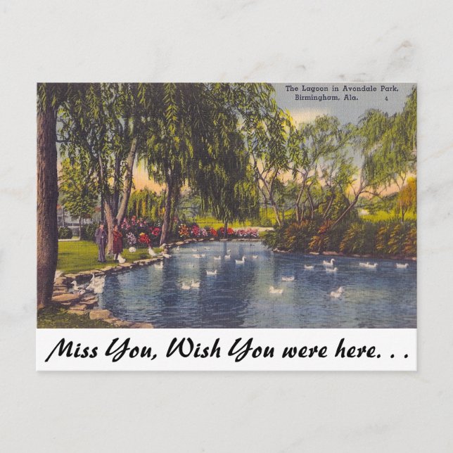 Avondale Park, Birmingham, AL Postcard (Front)