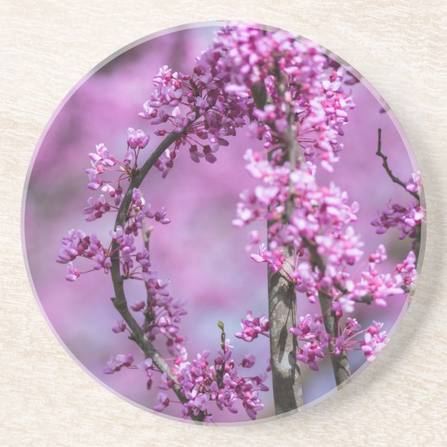 Avondale Redbud Art Coaster (Front)