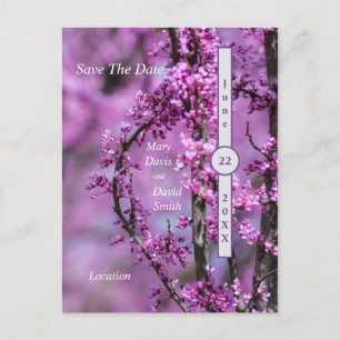 Avondale Redbud Art Save The Date Postcard