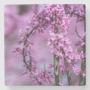 Avondale Redbud Art Stone Coaster