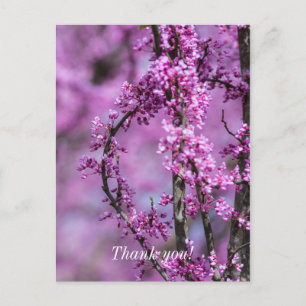 Avondale Redbud Art Thank You Postcard