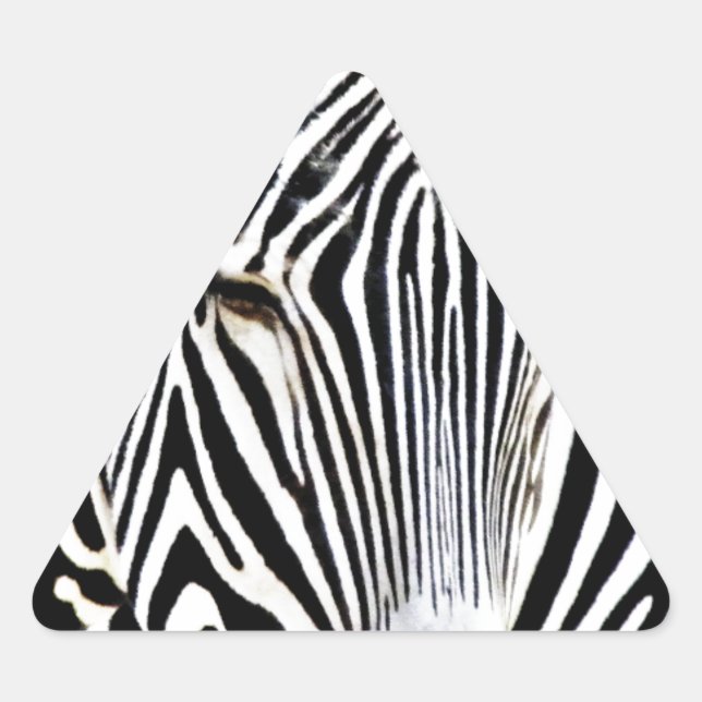 Awaiting_ Triangle Sticker (Front)