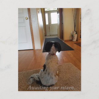 Awaiting your return postcard