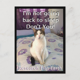 Awake Layla Postcard