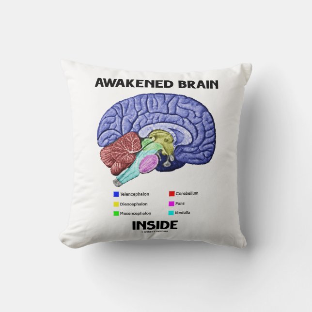 Awakened Brain Inside (Brain Anatomy) Cushion (Front)