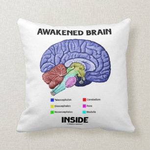 Awakened Brain Inside (Brain Anatomy) Cushion