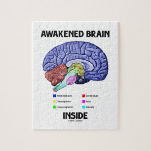 Awakened Brain Inside (Brain Anatomy) Jigsaw Puzzle