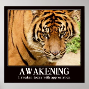 Awakening,appreciation_ Poster