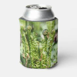Awakening young fern in the garden can cooler