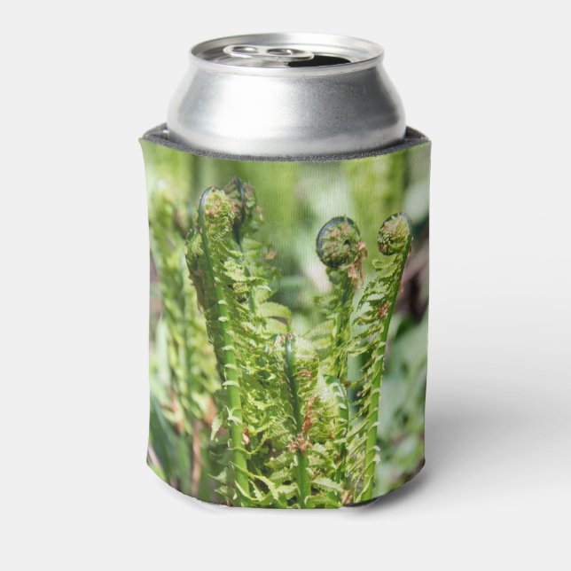 Awakening young fern in the garden   can cooler (Can Back)