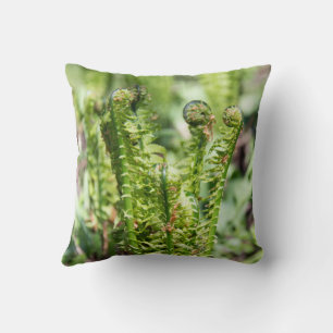 Awakening young fern in the garden cushion
