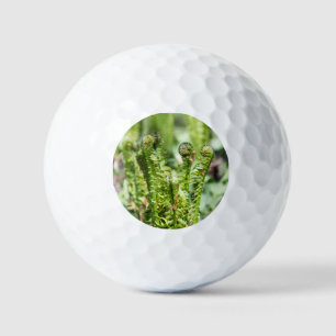 Awakening young fern in the garden golf balls