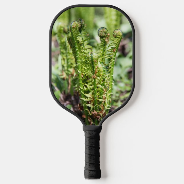 Awakening young fern in the garden  jigsaw  pickleball paddle (Front)