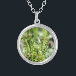 Awakening young fern in the garden  silver plated necklace<br><div class="desc">Awakening young fern in the garden. The photo was taken in May 2022. The poster is suitable for interior design.</div>