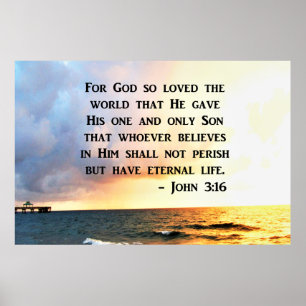 AWE INSPIRING JOHN 3 16 PHOTO DESIGN POSTER