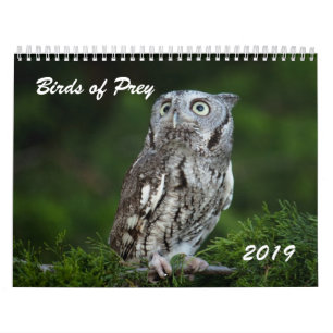 Awesome Birds of Prey 2019 photo calendar