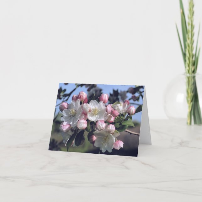 Awesome Blossoms Flower Photography  Note Card (Front)