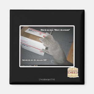 Awesome Box Magnet