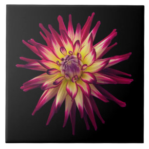 Awesome Colour Combination Flower Ceramic Tile