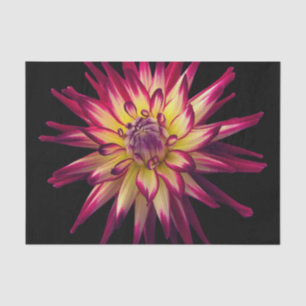 Awesome Colour Combination Flower Tissue Paper