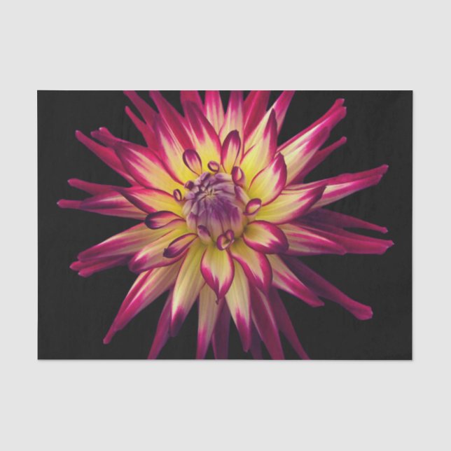 Awesome Colour Combination Flower Tissue Paper (Front)