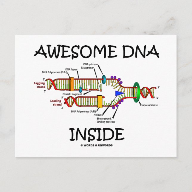 Awesome DNA Inside Postcard (Front)