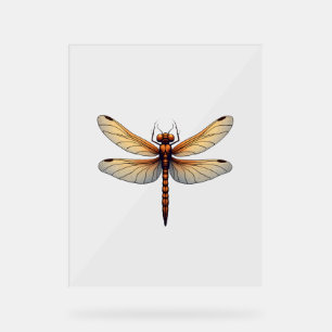 Awesome Dragonfly Costume for Boys and Girls Acrylic Sign