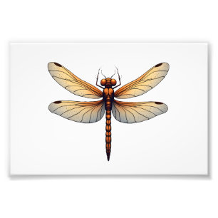 Awesome Dragonfly Costume for Boys and Girls Photo Print