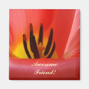 Awesome Friend! magnet Red Tulip Flower