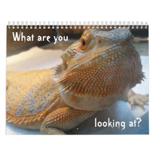 Awesome FUNNY Calendar for 2018