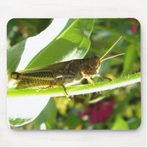Awesome Grasshopper Mouse Pad
