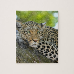 Awesome Leopard Jigsaw Puzzle