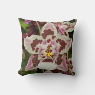 Awesome Multicolored Phalaenopsis Orchid Cushion
