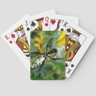 Awesome Photo Orb Spider in Web Playing Cards