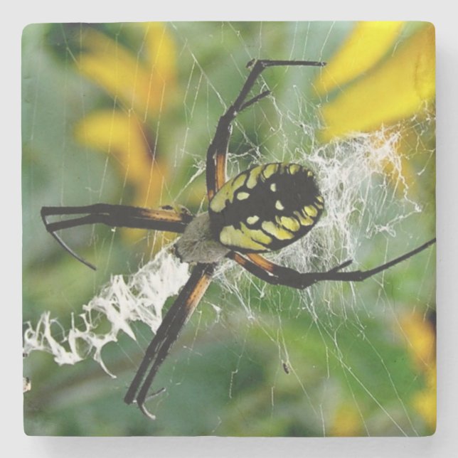 Awesome Photo Orb Spider in Web Stone Coaster (Front)