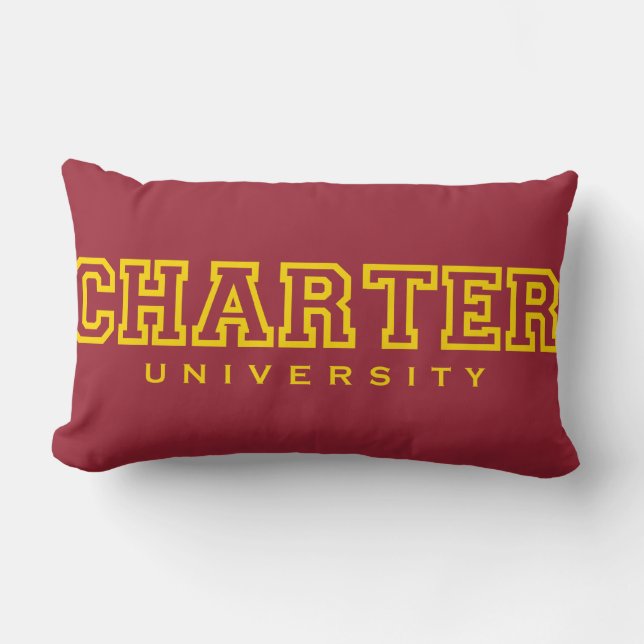 Awesome Pillow (Front)