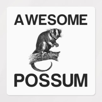 AWESOME POSSUM ....