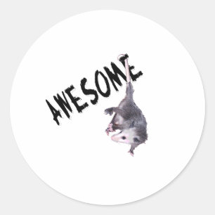 Awesome Possum Opossum Classic Round Sticker