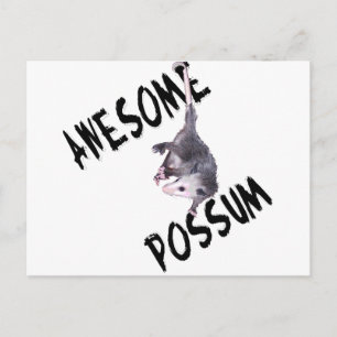 Awesome Possum Opossum Postcard