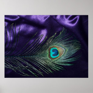 Awesome Purple Peacock Feather Poster