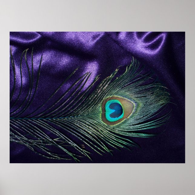 Awesome Purple Peacock Feather Poster (Front)