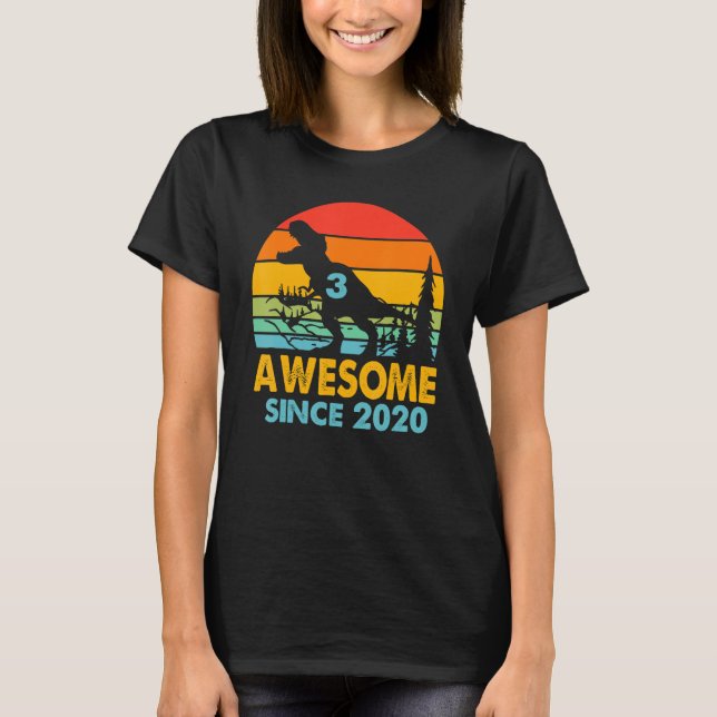 Awesome Since 2020 Dinosaur 3 Years Old  3rd Birth T-Shirt (Front)