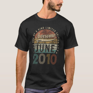 Awesome Since June 2010 13th Birthday  For 13 year T-Shirt