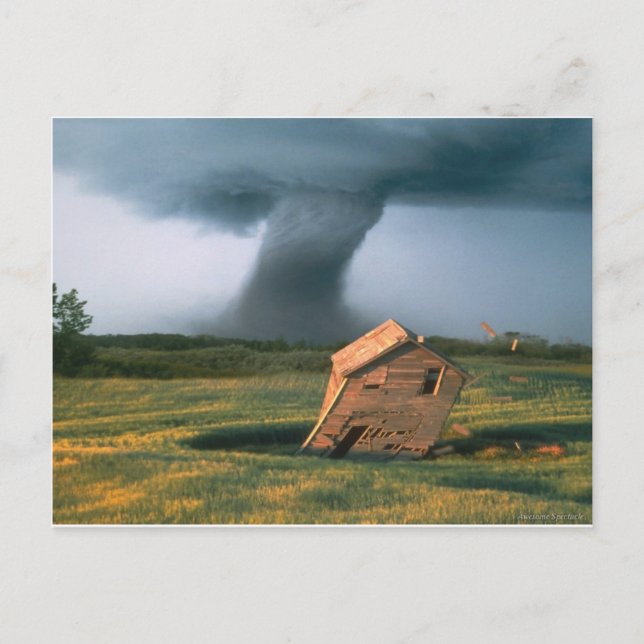 Awesome Spectacle Postcard (Front)