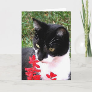 Awesome Tuxedo Cat in Garden Blank Inside Card