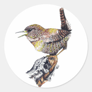 Awesome Wren Sticker